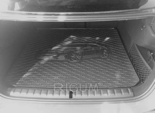 BMW 2 Gran Coupe (F44) (2019-) Rigum size-accurate luggage tray