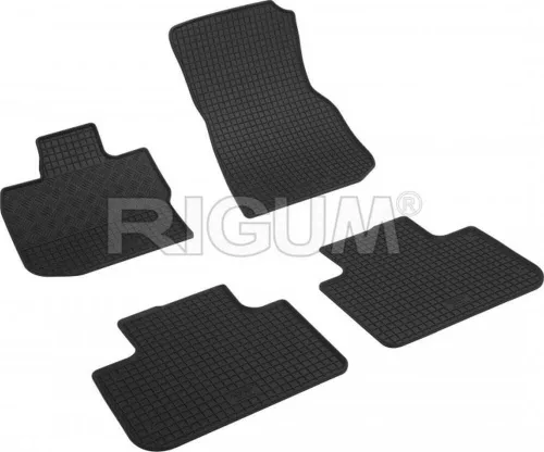 BMW X3 G01 (2017-) Rigum