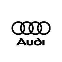 Audi szövetszőnyeg