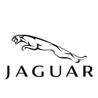 Jaguar szövetszőnyeg